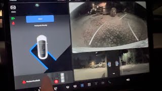 ep64 Teslas AutoPark Feature Demo [upl. by Nytnerb204]
