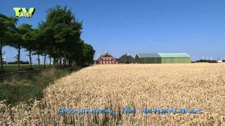 Groningen The Netherlands Wheat Harvest  Tarweoogst [upl. by Ydoj]