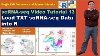 Seurat Video TutorialsVideo 13 How to load TXT scRNAseq data into R [upl. by Handel]