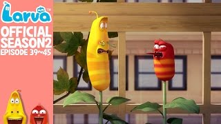 Official LARVA Season 2 Episode 39  45 [upl. by Eirrac862]