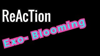 Ellis Reacts 85  Reaction EXOCBX 첸백시 花요일 Blooming Day MV [upl. by Aicener742]