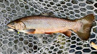 How to Catch MORE Trout Trout Fishing Tips [upl. by Aihtnis]