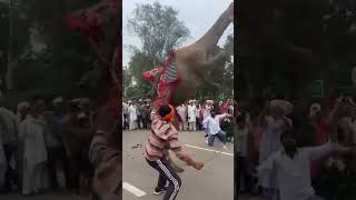 YO ROHATK S AMIT SAINI ROHTAKIYA 2024 dance viralvideo [upl. by Darby]