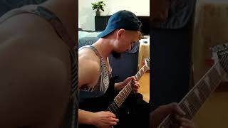 Imagine Dragons  Birds Guitar Cover shorts [upl. by Averil]