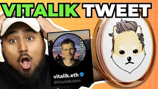 DOGELON MARS MASSIVE NEWS VITALIK TWEETS INFO DOGELON MARS WILL 100X [upl. by Noraa]