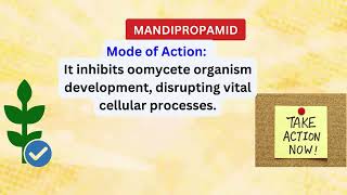 Mandipropamid Advanced Fungicide for Targeted Crop Protection [upl. by Anitaf]