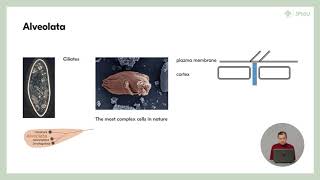 63 Phylogenetic tree of eukaryotes  Protists Evolution and Ecology of Microbial Eukaryotes [upl. by Humphrey160]