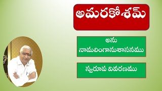 అమరకోశం స్వరూప పరిచయము అమరకోశంపరిచయము amarakosamintroduction amarakosaminformation [upl. by Haile]