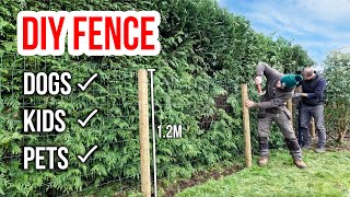 FENCING A FAMILY GARDEN  Keeping Dogs and Children Safe [upl. by Pickering]