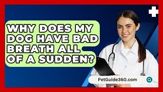 Why Does My Dog Have Bad Breath All Of A Sudden  PetGuide360com [upl. by Myrt]