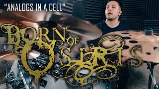 Born Of Osiris  Analogs In A Cell [upl. by Olpe805]