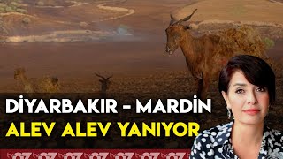 DİYARBAKIR  MARDİN ALEV ALEV YANIYOR [upl. by Holtorf]