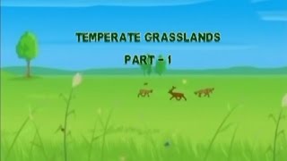 Temperate Grassland Episode 01 [upl. by Llerrud]