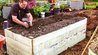 How to Fill Raised Vegetable Garden Beds and SAVE Money [upl. by Atinhoj]