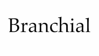 How to Pronounce Branchial [upl. by Gala914]