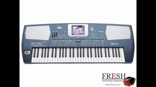 KORG PA 500  Spoznala som muzikanta takého [upl. by Gard]