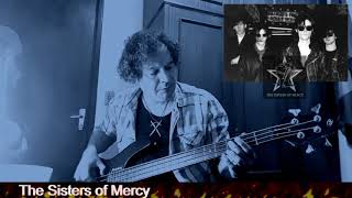 The Sisters of Mercy  Lucretia My Reflection Bass Beginner [upl. by Aivatnahs]