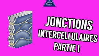 03  Les Jonctions intercellulaires Partie 1 [upl. by Melanie]