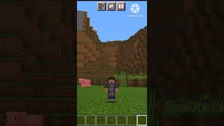 poi poi poi pe minecraft shortvideos shortsfeed shorts viralvideos part 48 Minecraft [upl. by Erich]