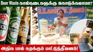 Beer Waste கால்நடைகளுக்கு கொடுக்கலாமா அதிக பால் கறக்கும் மாட்டுத்தீவனம் SK Cattle Feed  Moravasal [upl. by Altman]