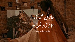 Janana Zama Tana Zar in Urdu Translation [upl. by Nosle]