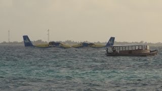 Seaplane Takeoff and Landing Spotting  The Maldives [upl. by Alfreda678]