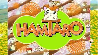 🐾 เพลง แฮมทาโร่ Hamtaro OP Thai Ver Tottoko Hamutaro ハ ム 太郎 [upl. by Deeann]