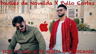 Daviles de Novelda X Pyllo Cortes  POR VOLVERME A VER X DJ ADEMARO [upl. by Nivac]