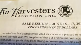 Fur Harvesters June 2024 Fur auction results [upl. by Alansen811]