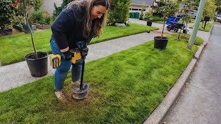 Planting 3 New Dogwood Trees 🌳 Why Fall is The Best Time For These Stunning Trees 🍂🙌 [upl. by Ydna767]