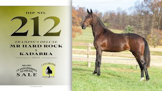 Mr Hard Rock filly  2024 MidOhio Standardbred Yearling Auction lot 212 [upl. by Jock805]