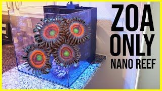 Step 1  Aquascaping the ZoanthidOnly Nano Reef [upl. by Amehsyt]