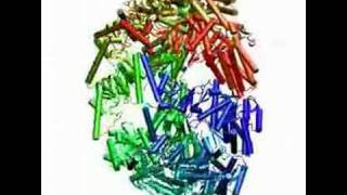 Chaperonin transition from open to closed conformation [upl. by Cichocki]