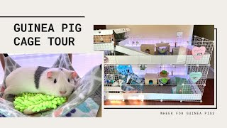 Guinea Pig Cage Tour  Stacked CampC Cage [upl. by Drawyeh]