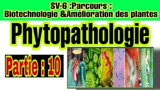 phytopathologie Partie 10  les interactions plantespathogènes [upl. by Eckhardt]