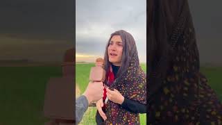 سەلمان ڤاینس نەورۆز😂😂😂 salman vines nawroz😂😂😂 [upl. by Ahscrop]