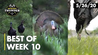 Best of Realtree Spring Thunder Week 10  Iowa and Tennessee Turkey Hunting [upl. by Eiuqcaj]