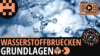 Wasserstoffbrücken Grundlagen │Chemie Lernvideo Learning Level Up [upl. by Orpah345]