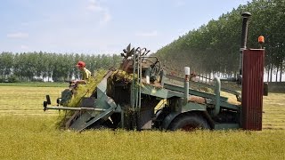 Vlas slijten met Depoortere vlasmachine [upl. by Siol]