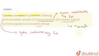 Give two examples of each of the following  i Ammoniotelic animalsii Osmoconformersiii Ur [upl. by Rubbico]