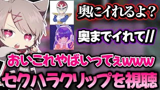 【ストグラ】ボスとルウさんのヤりとりを見て爆笑するゆふなwww【ファン太玖兎音るう】 [upl. by Abe]