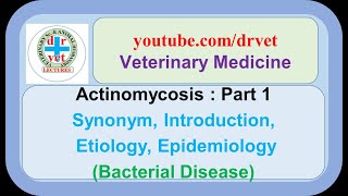 Actinomycosis Part 1 introduction etiology epidemiology [upl. by Gweneth853]