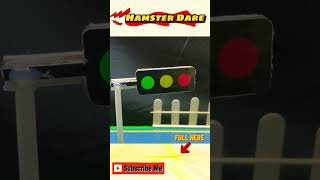 Rescue Vehicle Hamster🐹 Race Car Cartoon Maze traps In Hamster Dare hamsters hamsterescape [upl. by Oam]