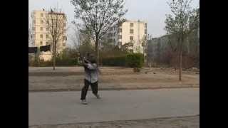 Liang Style Bagua Dao Taolu Sabre Broadsword form [upl. by Roxine609]