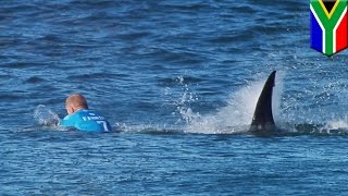 Shark attacks pro surfer Mick Fanning at JBay Open in South Africa  TomoNews [upl. by Raeann]