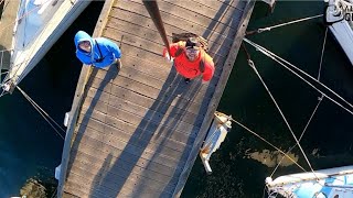 Land based fishing  Pier hop  Williamstown  Webb dock  Princes pier  Melbourne Victoria [upl. by Adnilim548]