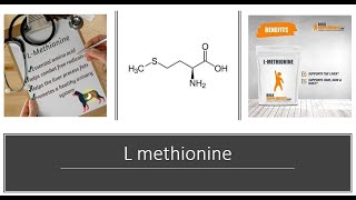 Methionine Benefits [upl. by Alhak969]