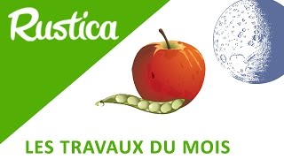 Calendrier lunaire  que faire au jardin en jour graines et fruits [upl. by Handbook666]