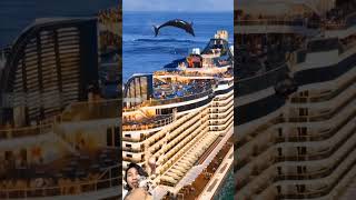 Rare moment Dolphins and Helicopters pass over cruise ships adventure dolphin shortsfeed [upl. by Adnahsat]