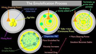 The Emulsification Process [upl. by Haras177]